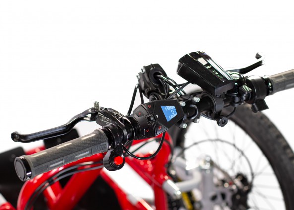 IMG_0224-Edit-593x424